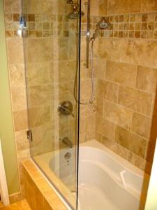 ark_shower_door1363576848