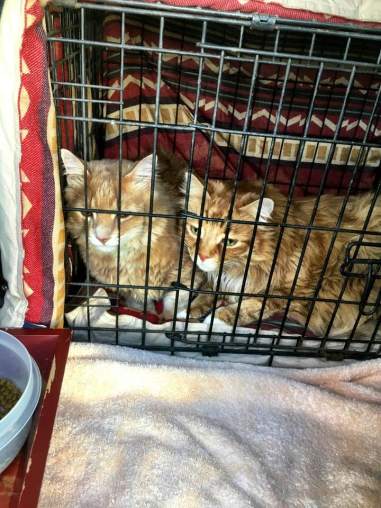 29597657_10160120093810034_3259769389438651884_n