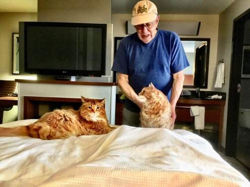 29598052_10160114595370034_7403946661035190925_n