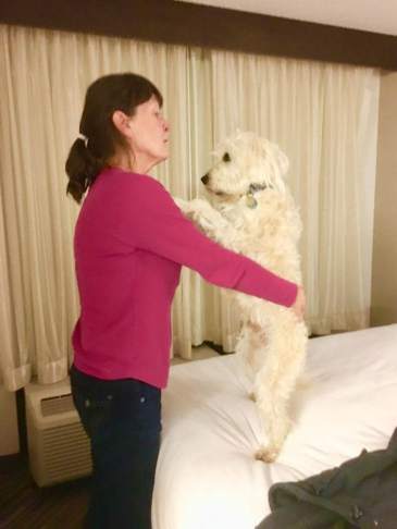 29683777_10160114595360034_9134982102861576563_n